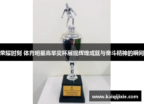 荣耀时刻 体育明星高举奖杯展现辉煌成就与奋斗精神的瞬间