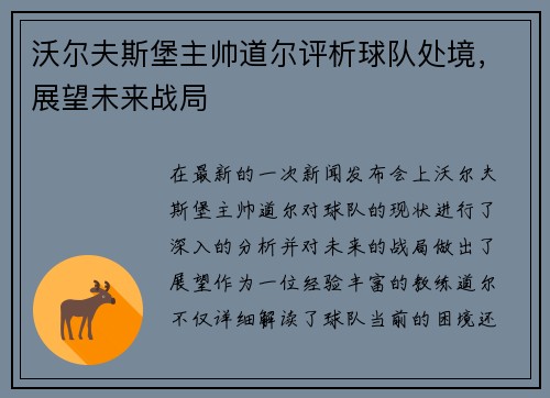 沃尔夫斯堡主帅道尔评析球队处境，展望未来战局